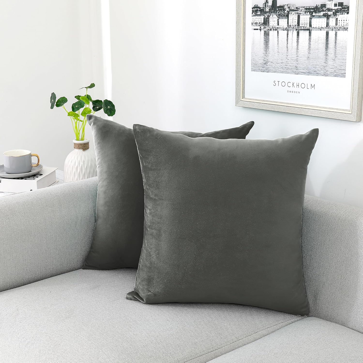 NiNi ALL Velvet Throw Pillow Covers 20x20 Pack of 2 🛋