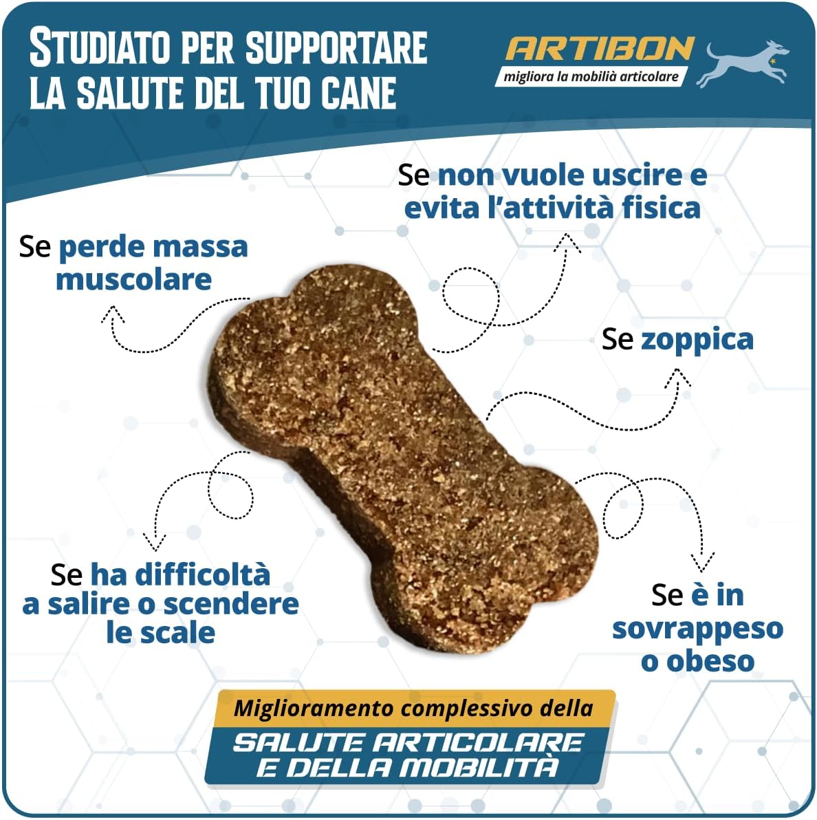 Thumbnail 2 de Stark Artibon – Integratore per articolazioni del cane con acido ialuronico, glucosamina, condroitina, MSM e curcuma (60 bocconcini)