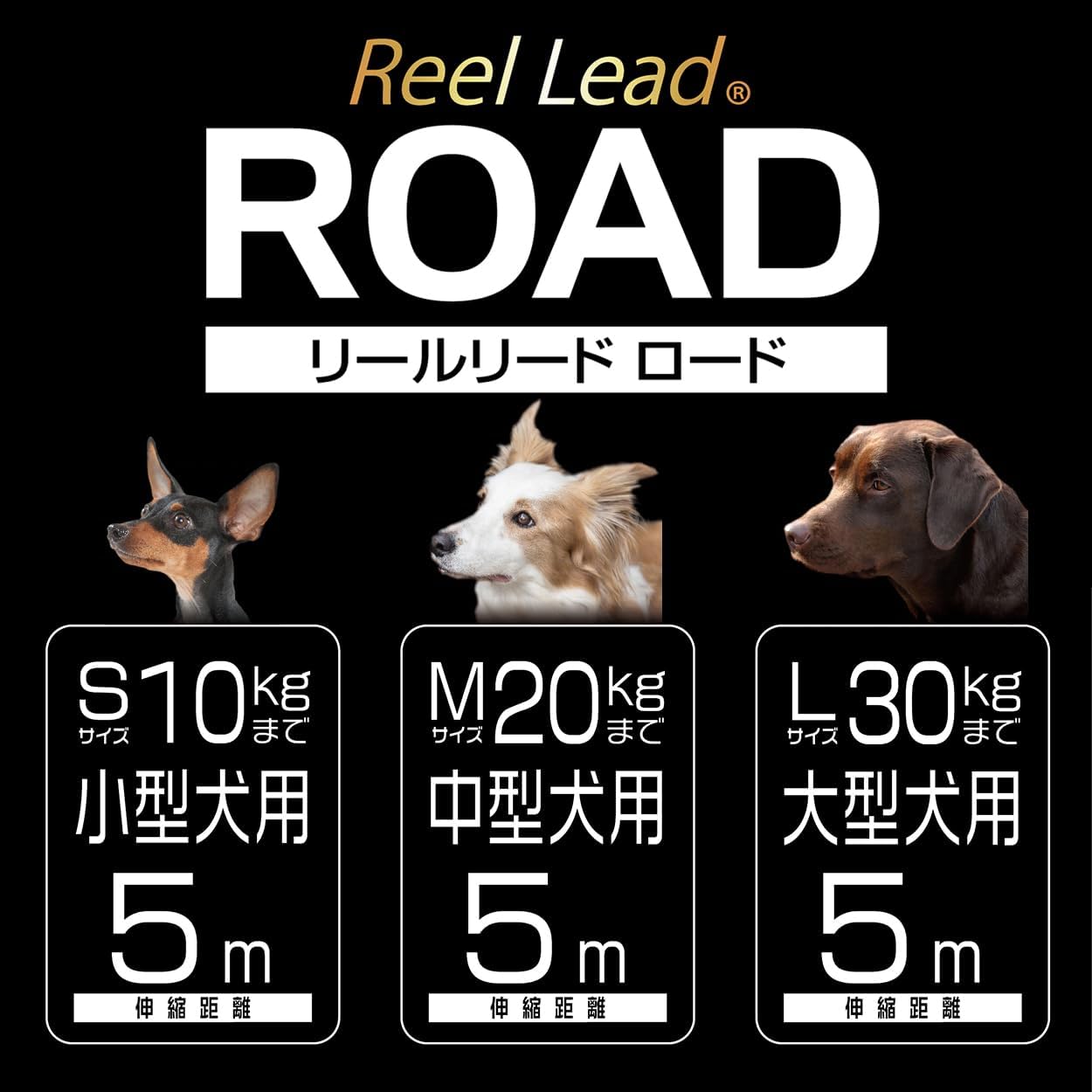 Detalle de ペティオ リールリードロード レッド S 小型犬用、体重〜10kg対応のリールリード