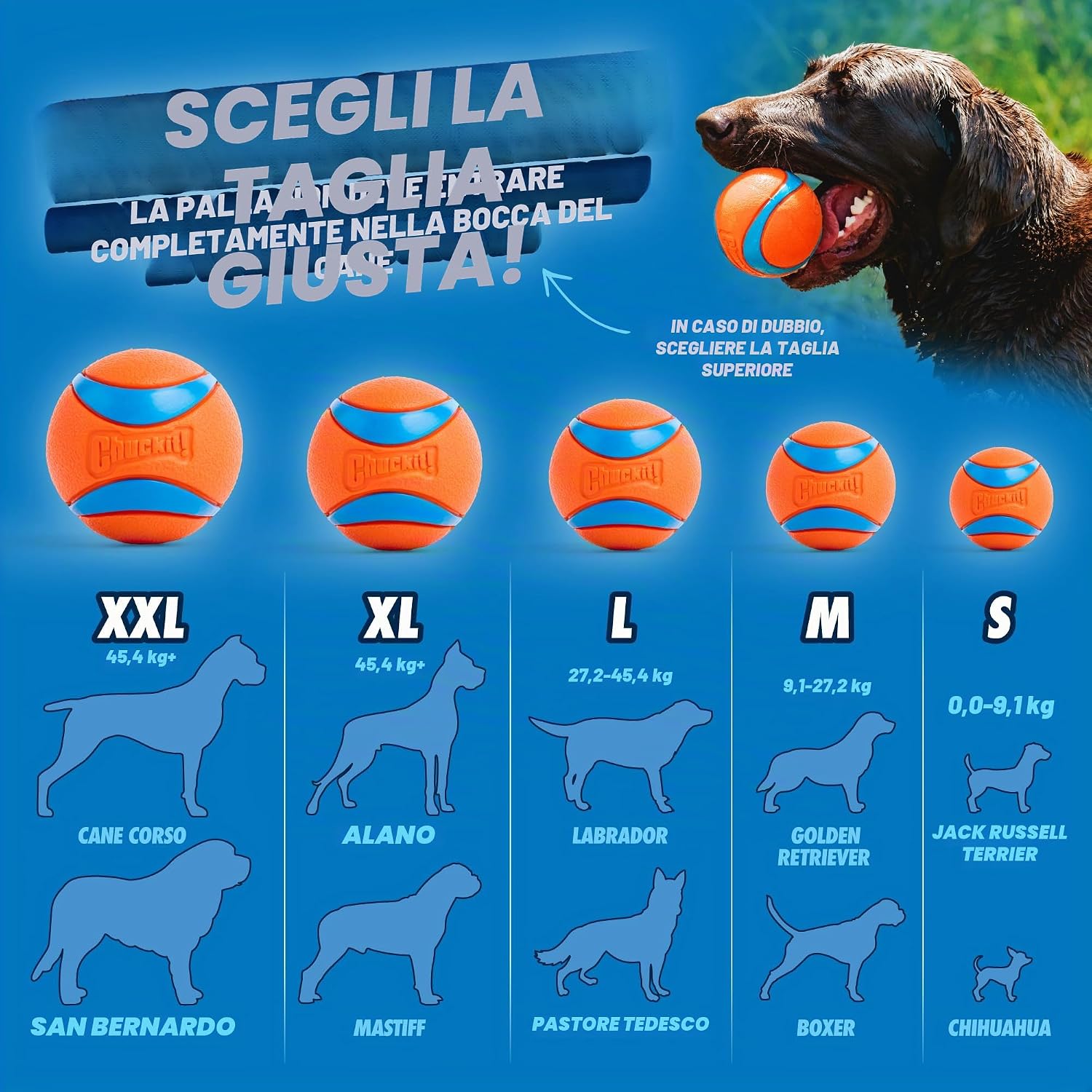 Detalle de Chuckit Ultra Ball Cane – Palla Multicolore M (Confezione 2) per lancio e nuoto