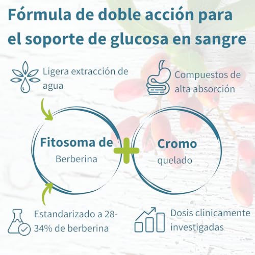 Thumbnail 2 de Igennus Berberina Fitosomada 550 mg