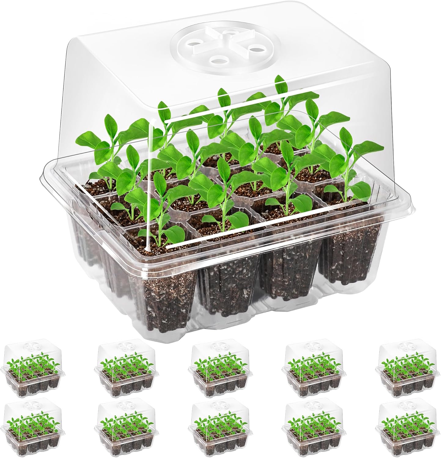 Bonviee 5 Pack Seed Starter Tray with Grow Light