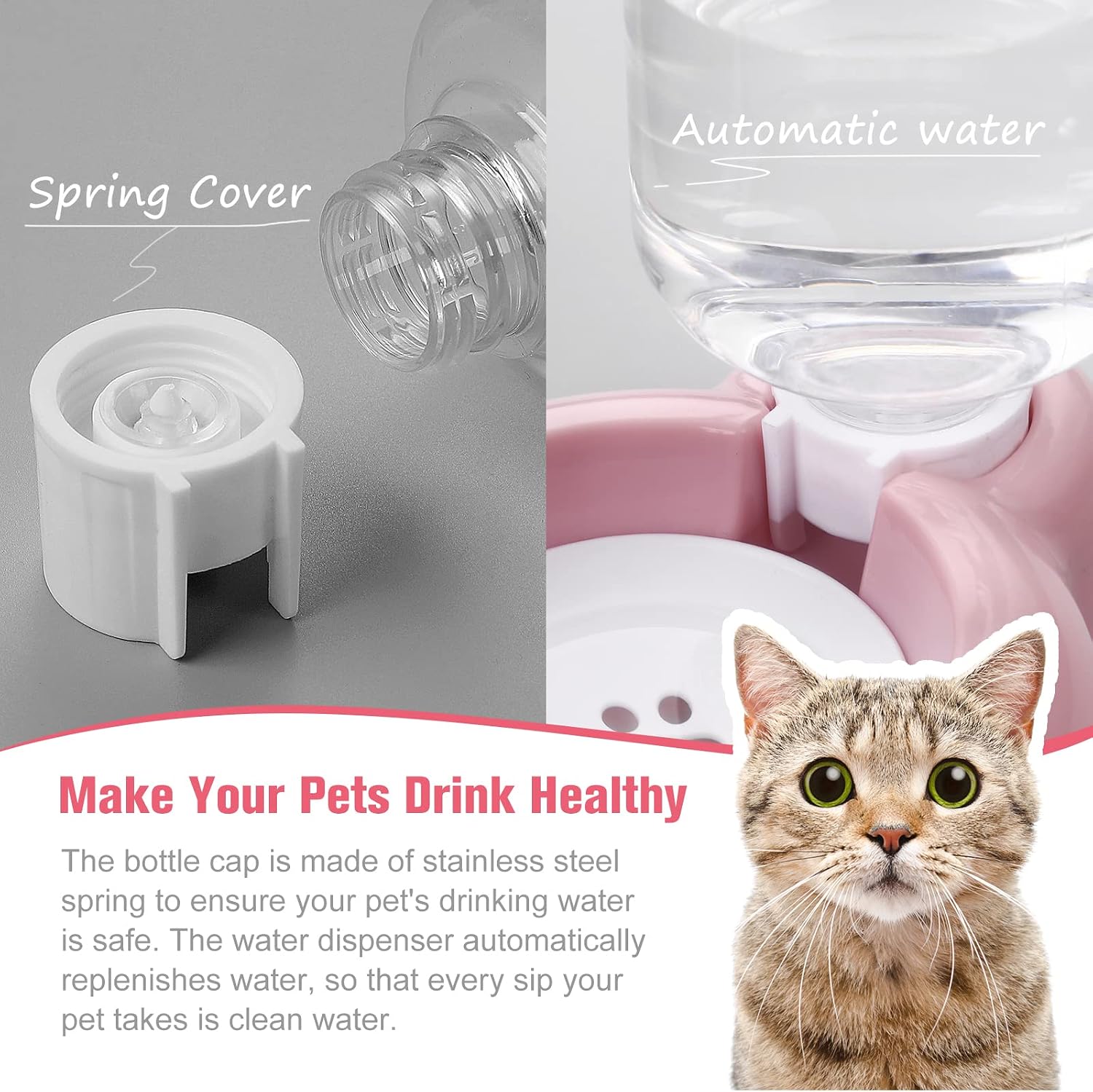 Detalle 2 de Pet Bowl Set with Stainless Steel Bowl