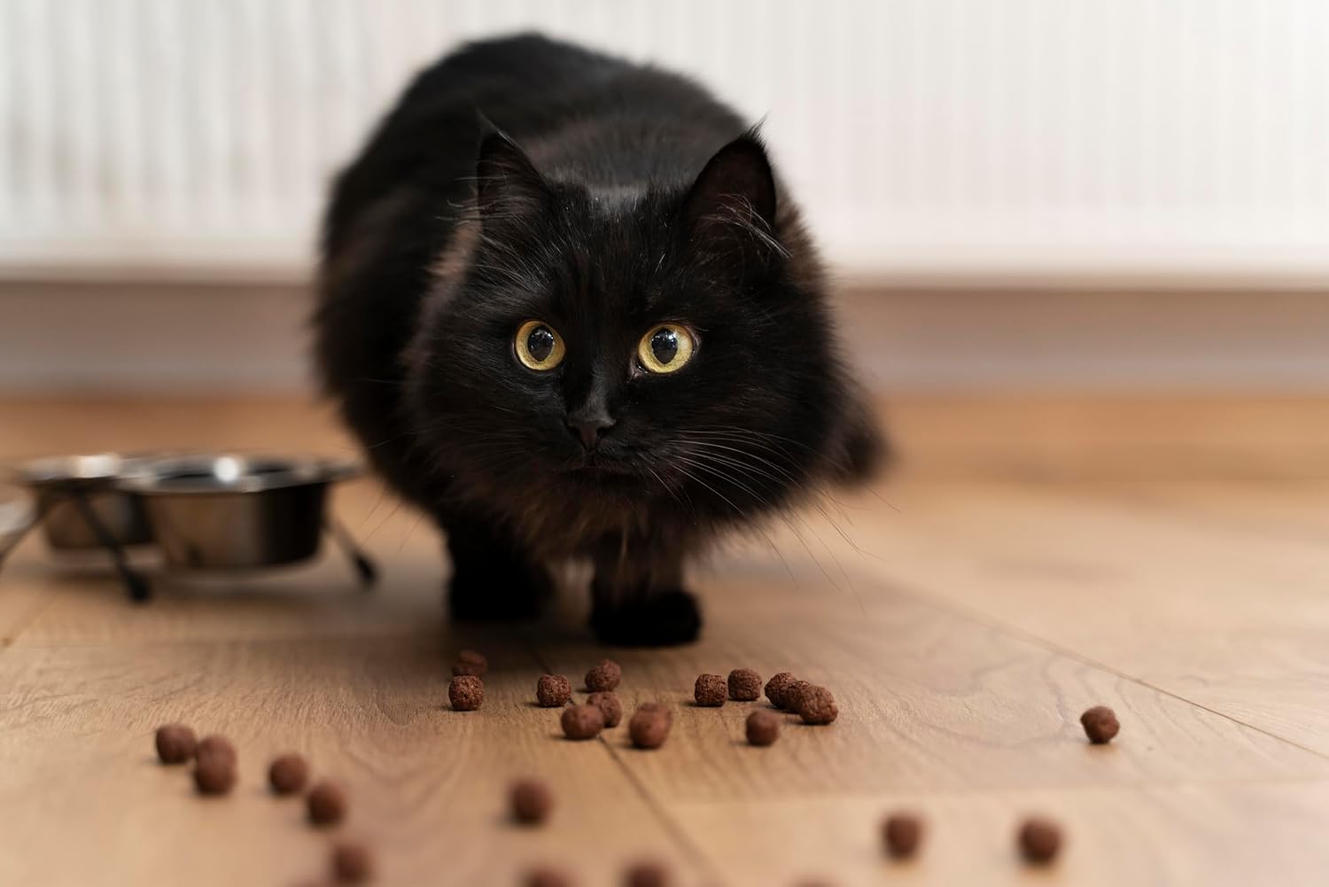Detalle 1 de Canina Runderbloed Poeder voor honden en katten, 250 g