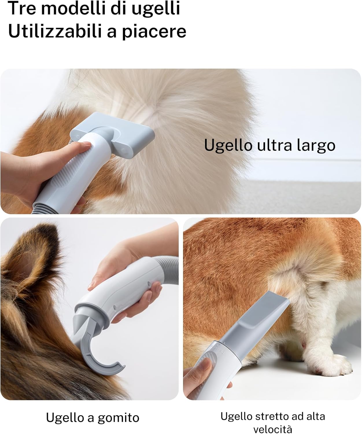 Thumbnail 4 de HomeRunPet Ultra Silenzioso soffiatore asciugacapelli per cani con 99 velocità e controllo temperatura