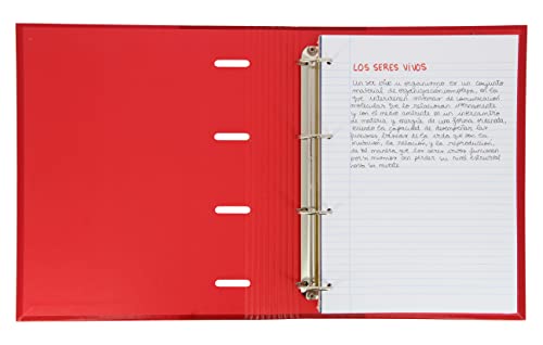 Detalle 2 de Oxford: Hojas Rayadas A4, Perforadas, 200 Hojas para Archivador