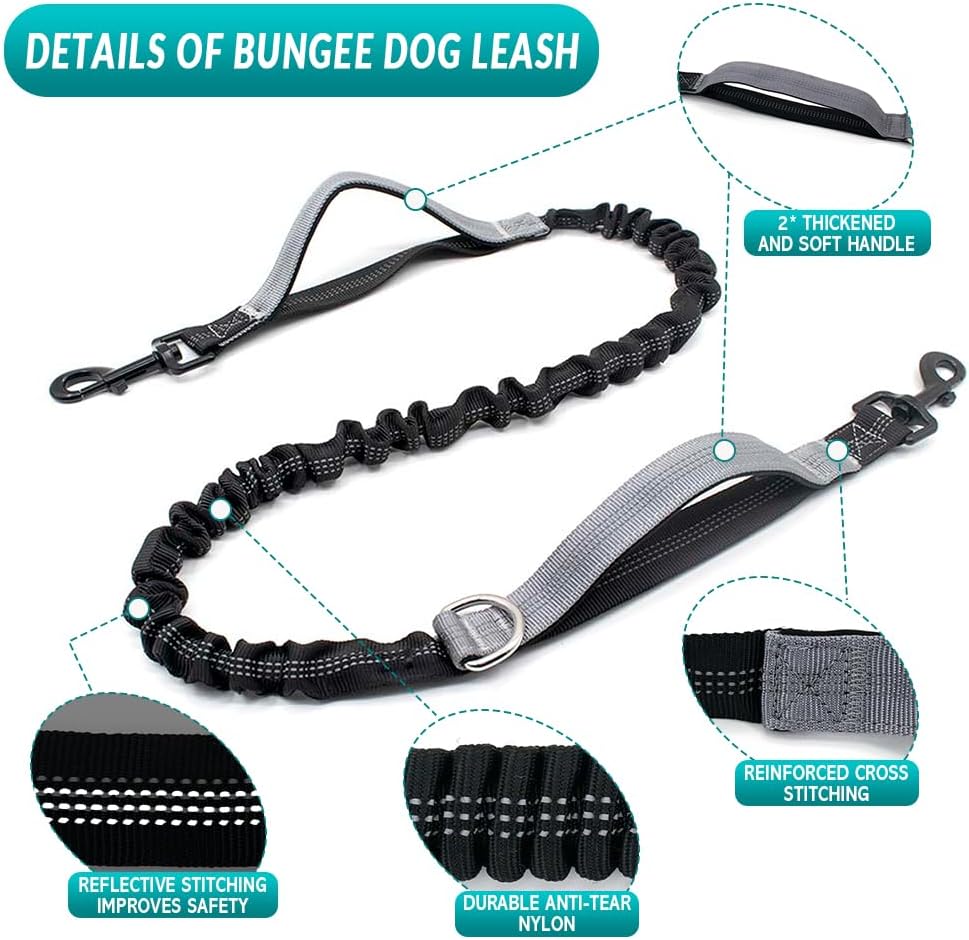Detalle 2 de Leckerlitasche für Hunde mit Bauchtasche, reflektierende Bungee-Waist-Leine & Kotbeutelspender (Grau, mit 2 Hundeleinen)
