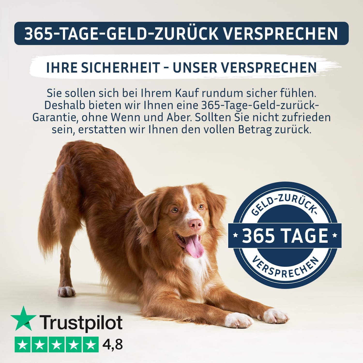 Thumbnail 6 de PetFokus Darm Komplex für Hunde – Unterstützung der Verdauung, Entzündungshemmung und Gelenkgesundheit