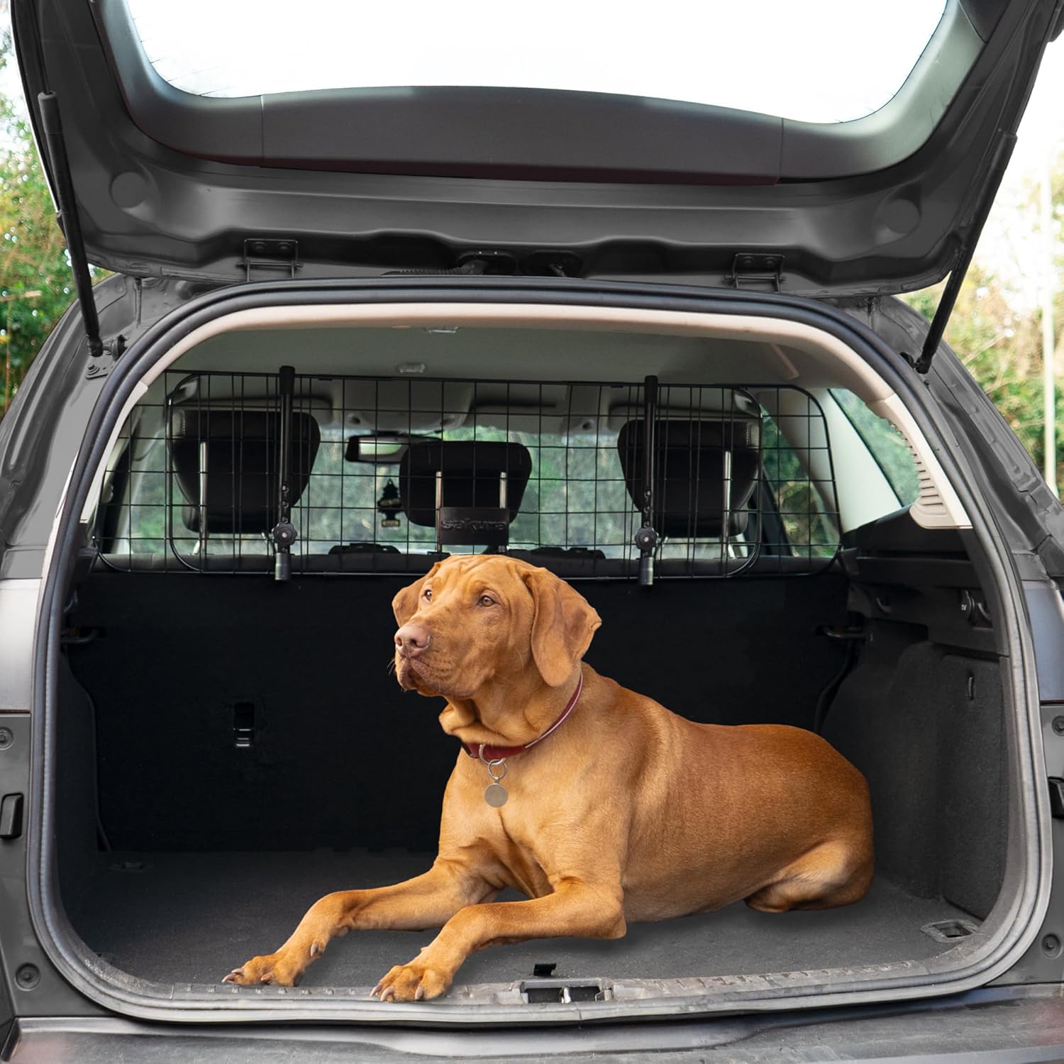 Detalle de Sakura Headrest Dog Guard for Cars SS5259 – Easy Fit, 106–145 cm Width
