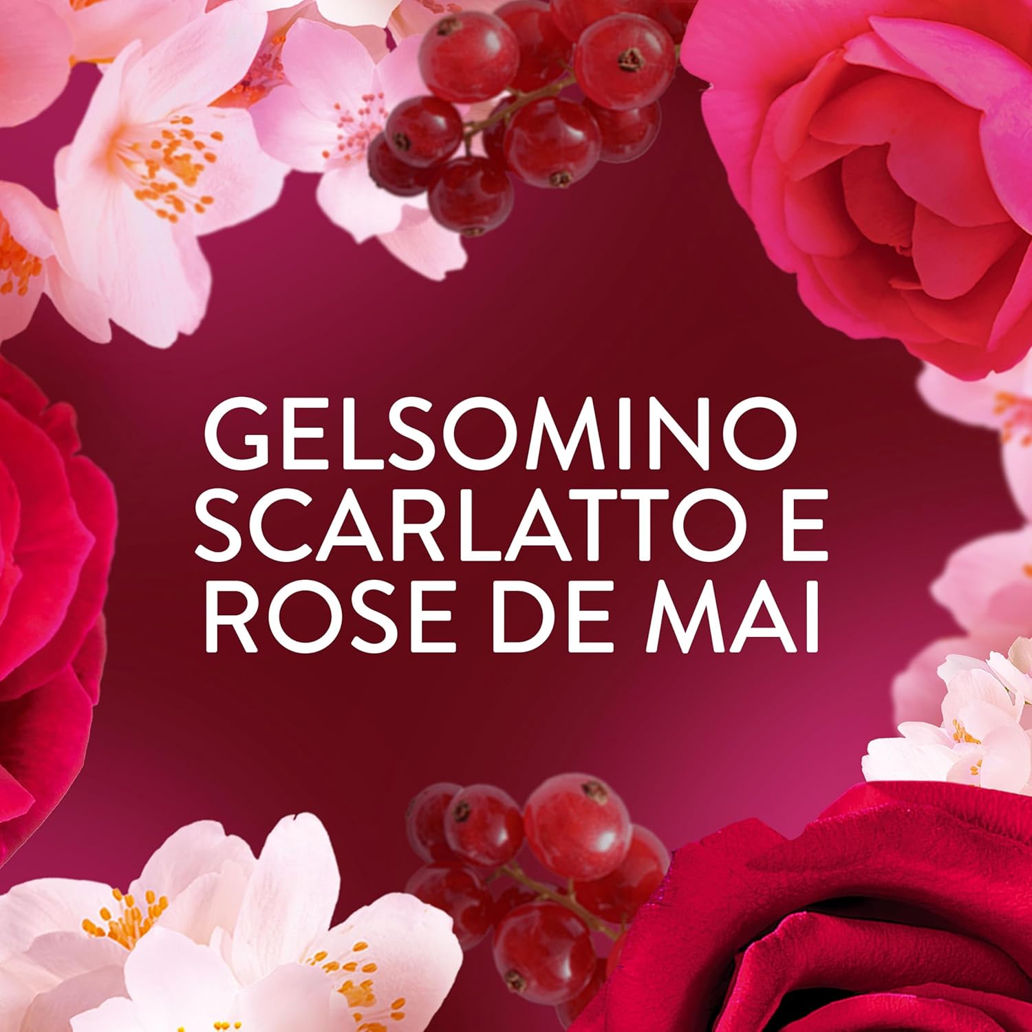 Thumbnail 3 de Lenor Ammorbidente Concentrato 440 8 lavaggi