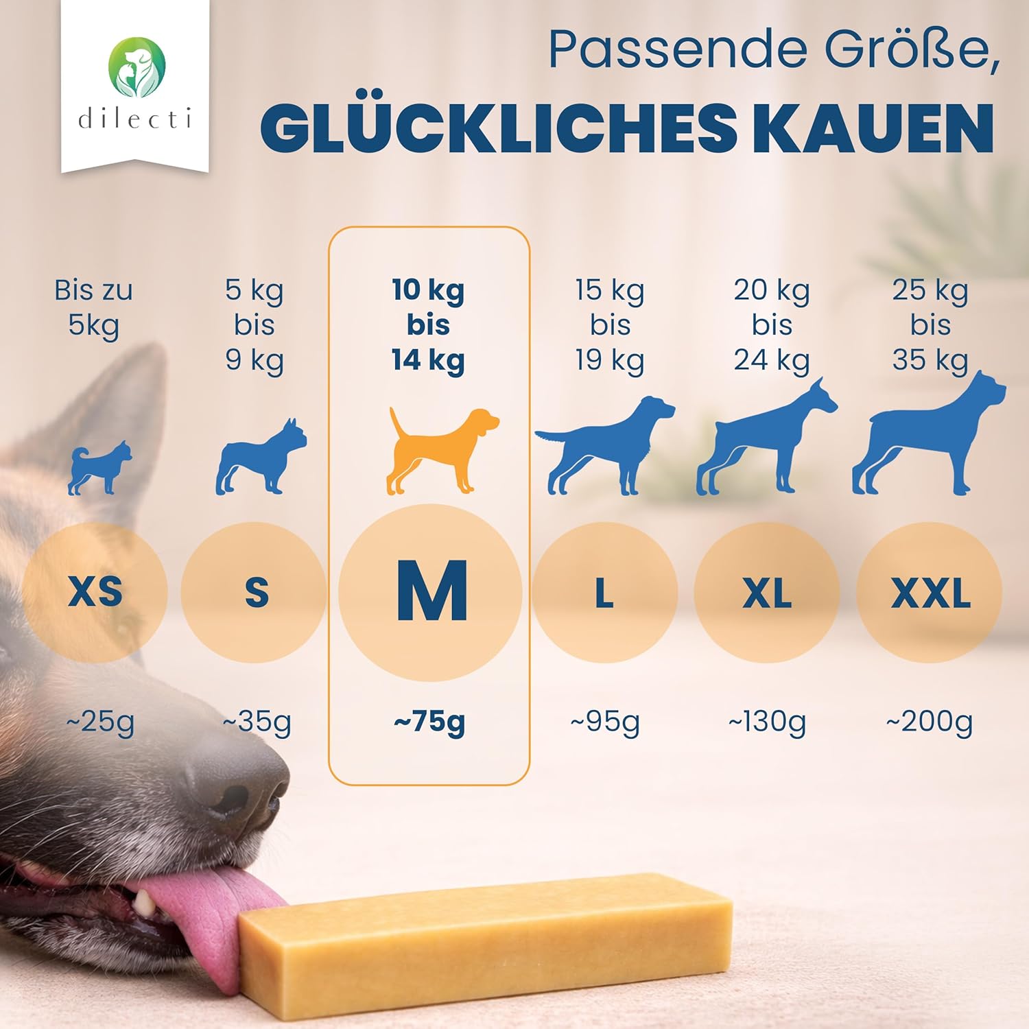 Detalle 2 de Dilecti Käse-Kauknochen für Hunde Größe M