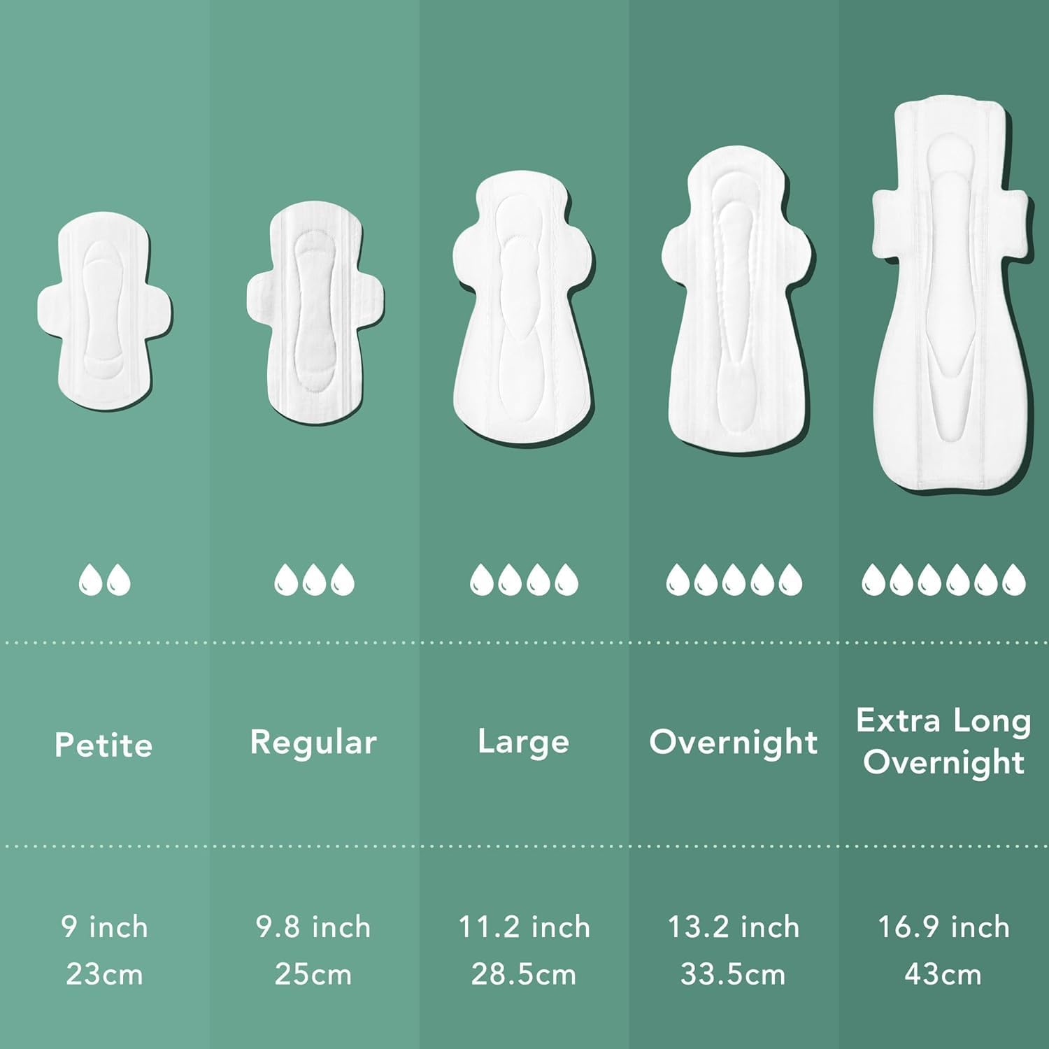 Detalle de Rael Serviette Hygiénique en Coton Bio - Flux Modéré avec Ailettes, Ultra Fine, Hypoallergénique et Sans Parfum (Régulier, 56 serviettes)