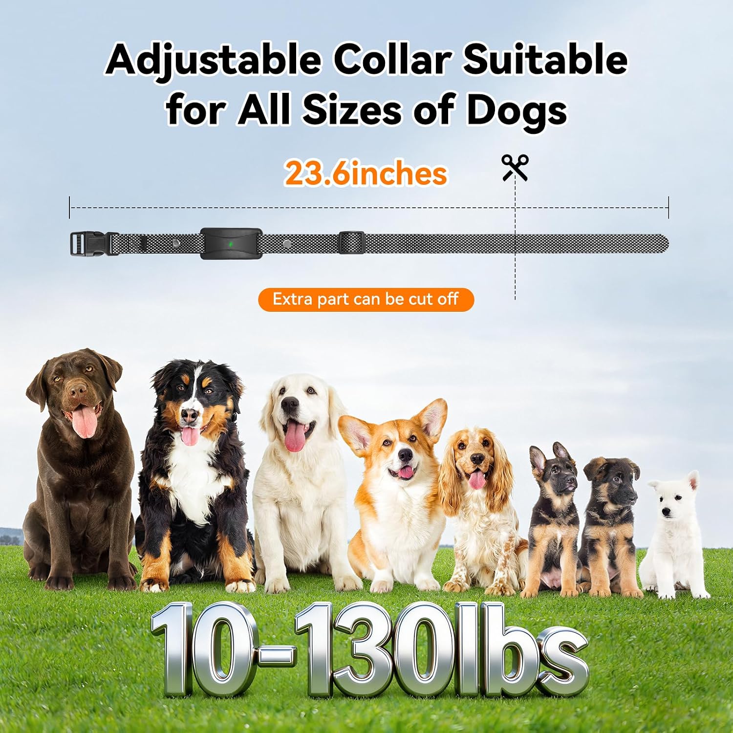Thumbnail 6 de Wireless Dog Fence System