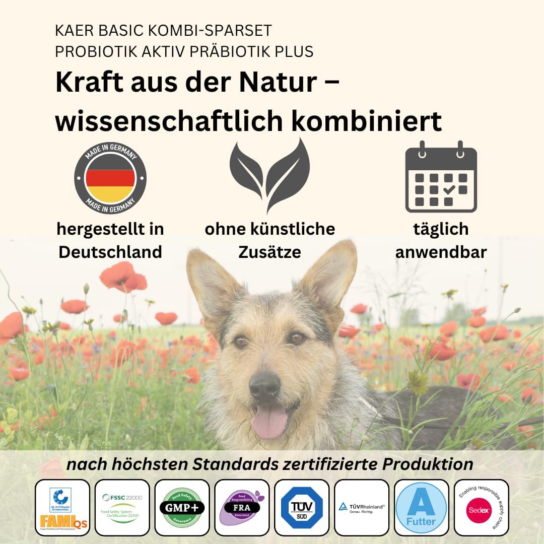 Detalle de kaer basic Probiotik Aktiv für Hunde – lebende Darmbakterien in Drops für Darmsanierung & Aufbaukur