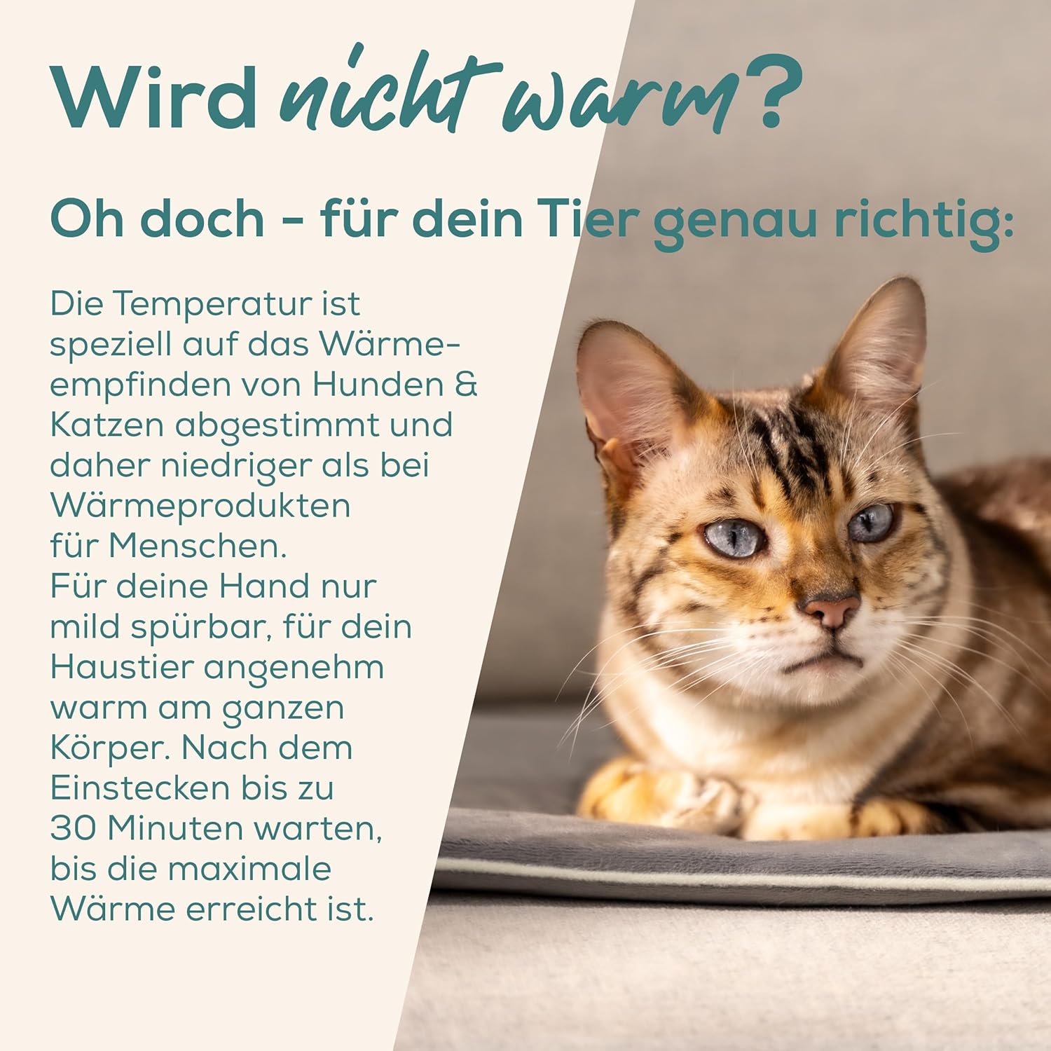 Detalle 2 de Beurer Love Your Pet Heizmatte S 41 x 34 cm 🐾