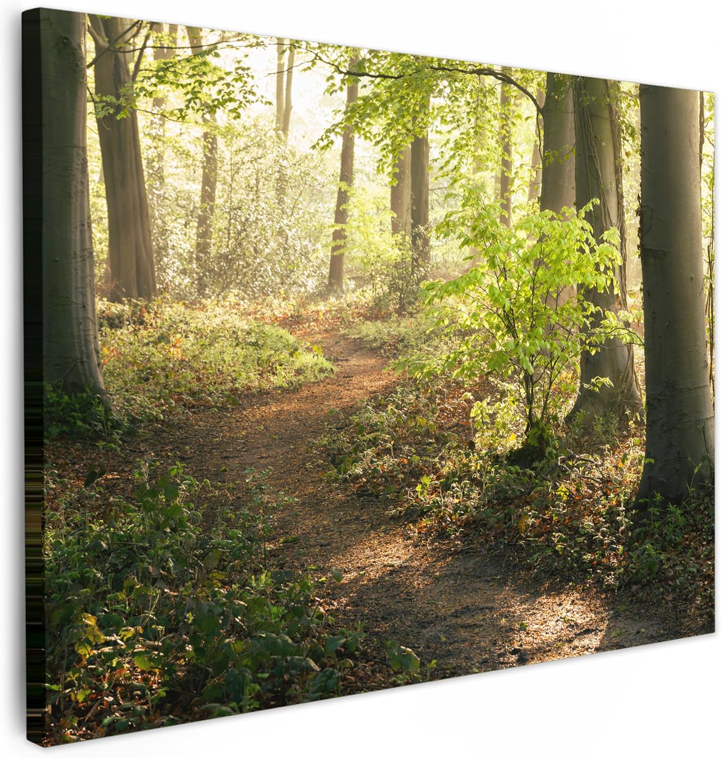 Detalle de MuchoWow Impression sur Toile 70x50 cm Forêt