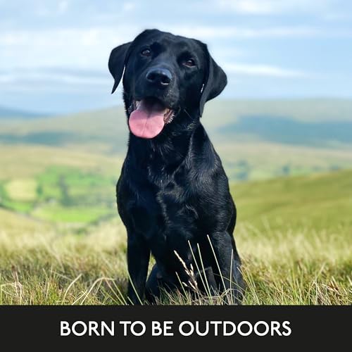 Thumbnail 8 de Skinner’s Field & Trial Light & Senior Complete Dry Dog Food (15kg) for Older, Overweight or Less Active Dogs