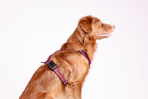 Thumbnail 7 de Chaba Harnais Guard pour Petit Chien - 5 Points, Anti-Traction, Taille M, Bordeaux