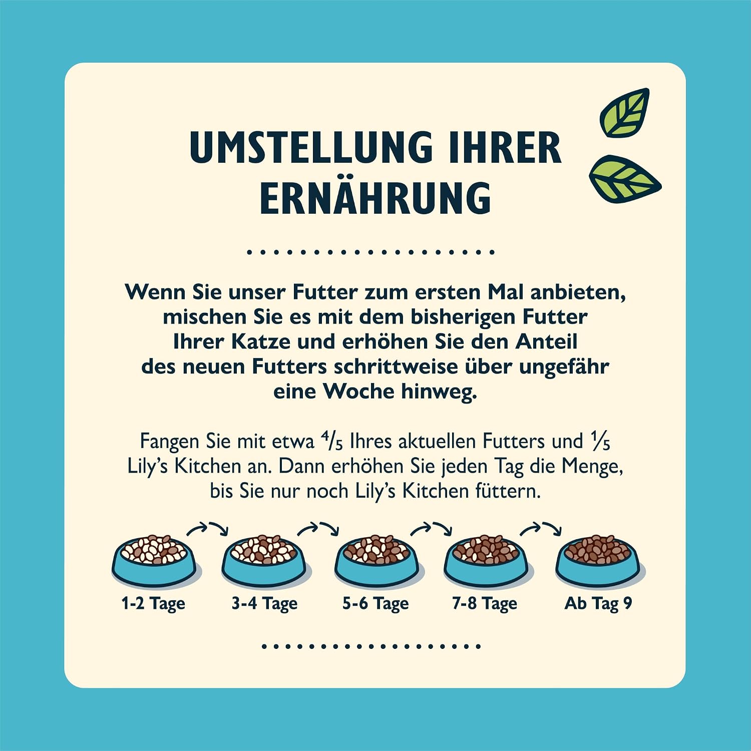 Detalle de Lily's Kitchen Trockenfutter für ausgewachsene Katzen Weißfisch mit Lachs – getreidefrei, 2 kg