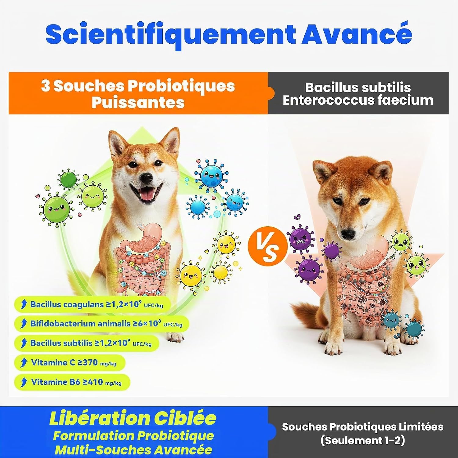 Detalle de IEDPET probiotique chien, probiotica voor honden met prebiotica, 500 g