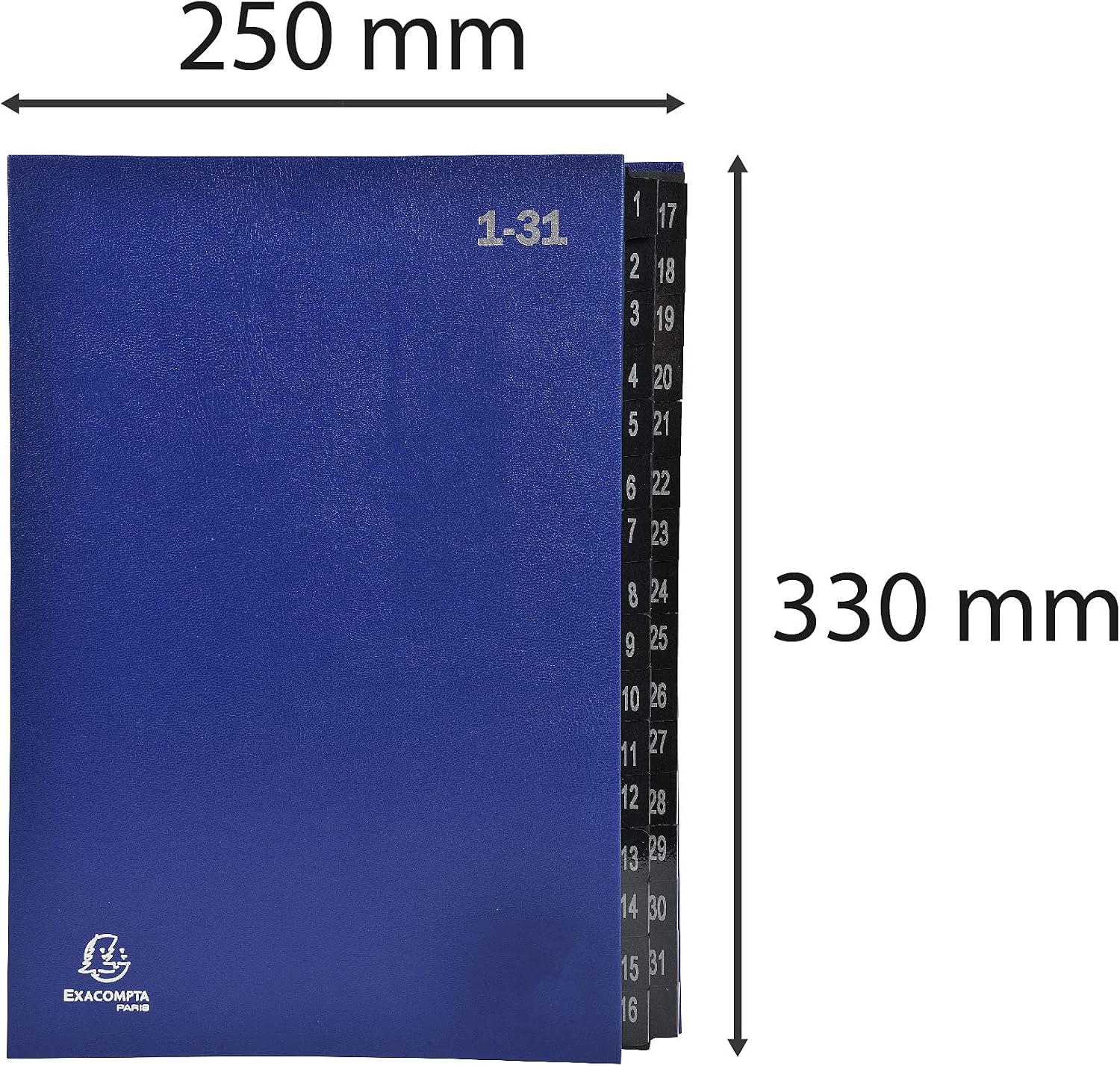 Thumbnail 1 de Exacompta 57042E: Cartella portadocumenti riciclata, cartone extra resistente, 32 scomparti DIN A4, blu