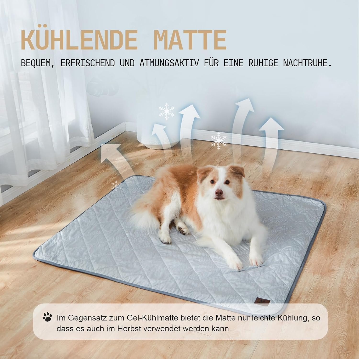 Thumbnail 3 de Snocyo Kühldecke für Hunde – Waschbar, wasserdichte Decke 60×47 cm, doppelseitig kühlend & plüschig