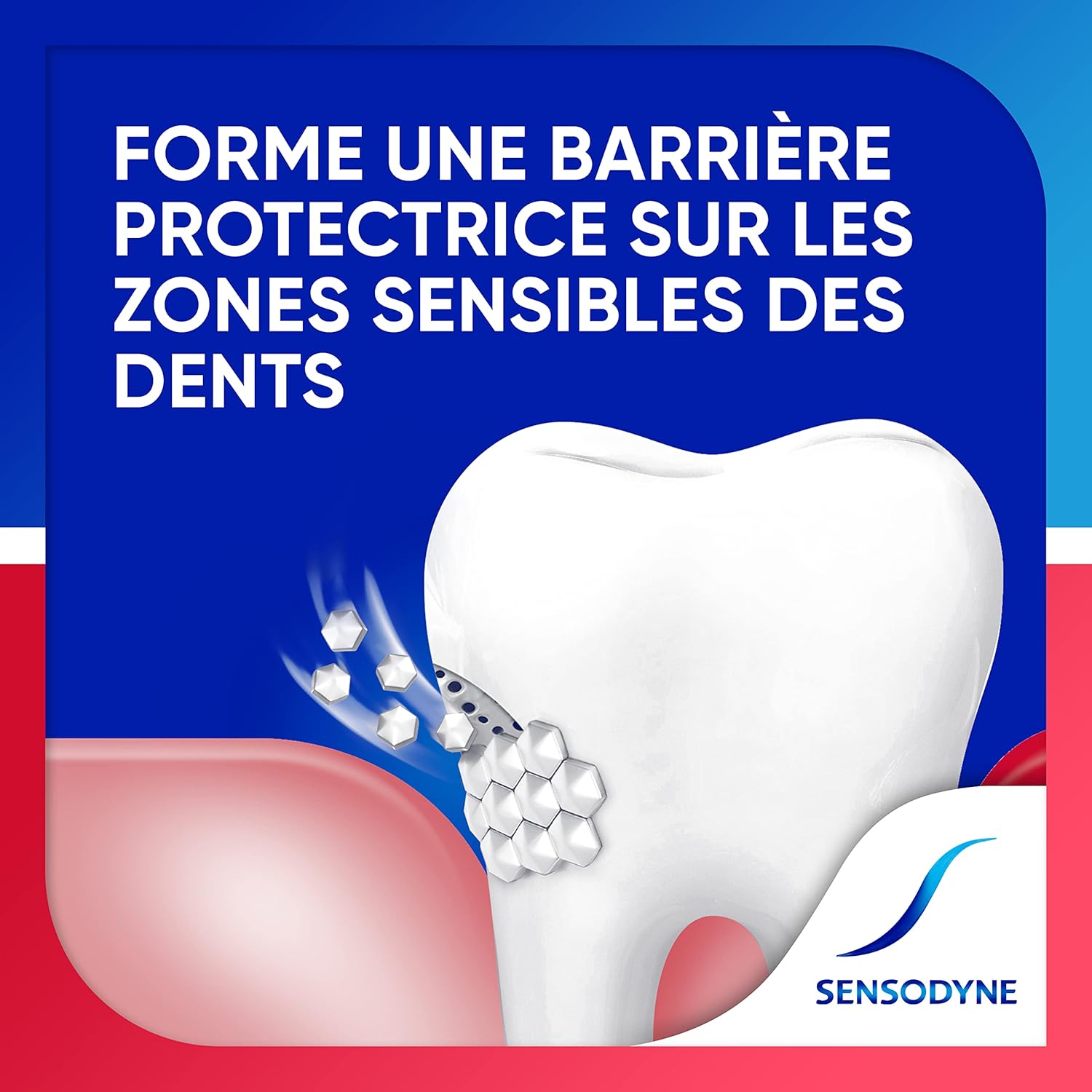 Thumbnail 6 de Dentifrice Sensibilité et Gencives Menthe 2x75ml 🌿