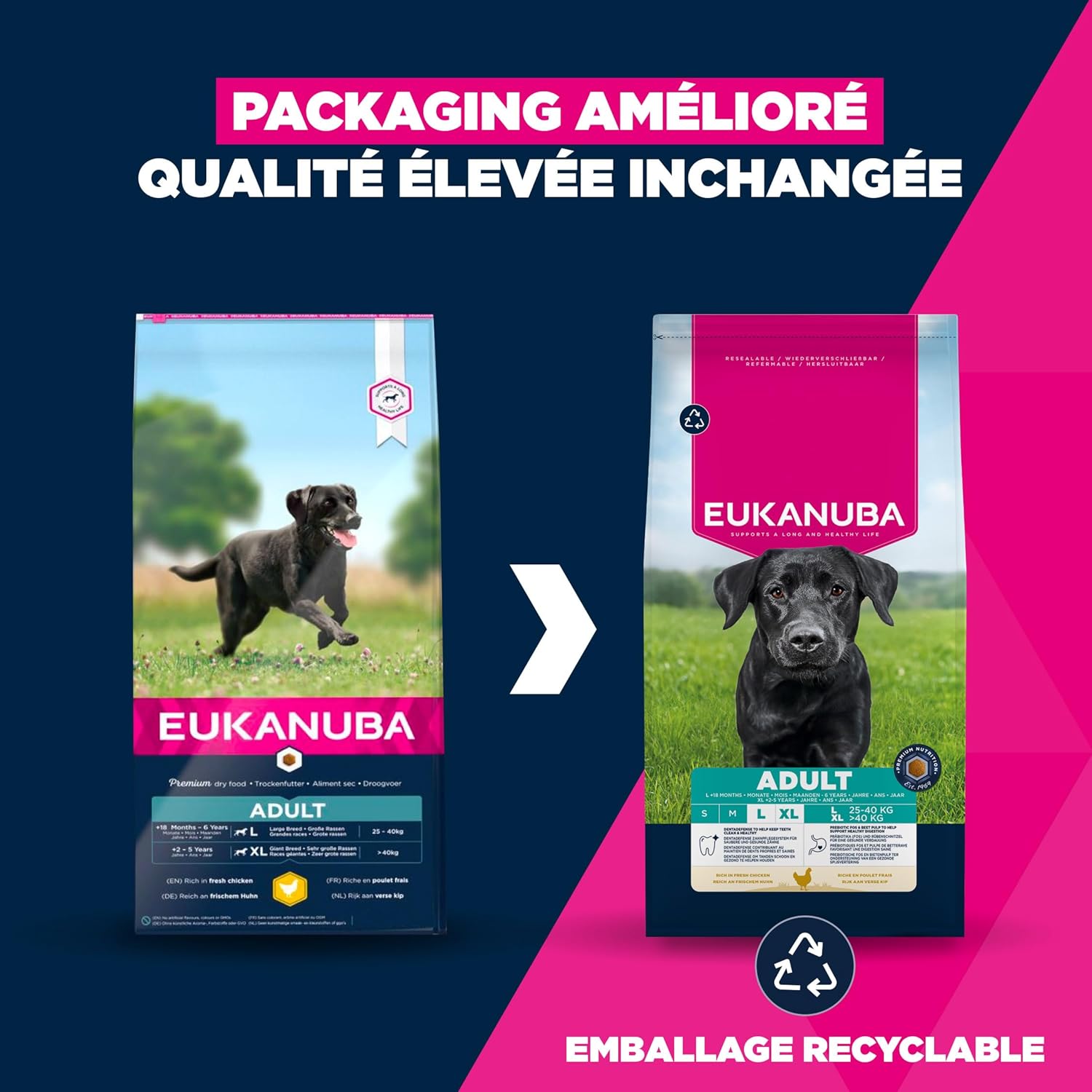 Detalle 2 de EUKANUBA Life Care Croquettes Chien Adulte Grande Race 18 Mois à 6 Ans – Poulet frais, Oméga 3&6 et DentaDefense