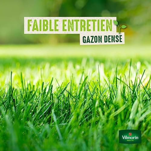 Detalle de Vilmorin Gazon Rustique, 3 kg — gazon Tous Terrains pour un espace vert dense