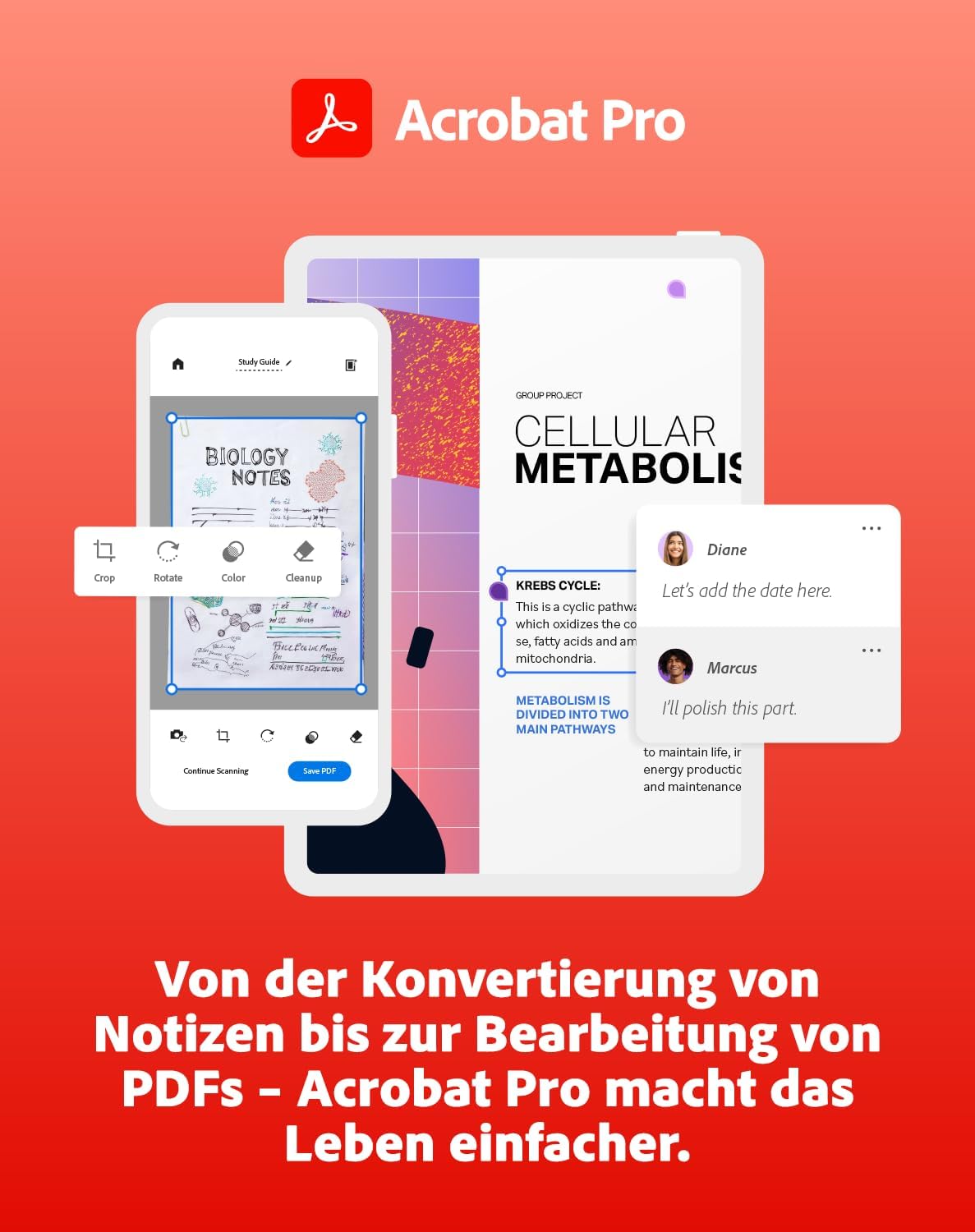 Detalle 1 de Adobe Creative Cloud All Apps Students & McAfee Total Protection 2026 – 6 Geräte, 12 Monate, digitaler Download