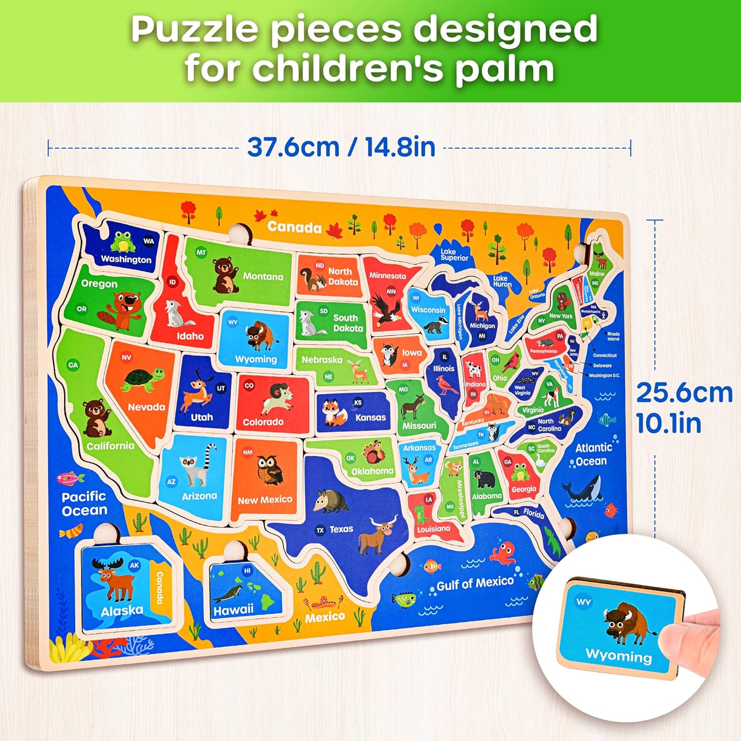 Thumbnail 5 de SYNARRY Large USA World Solar System Wooden Puzzle 🌍