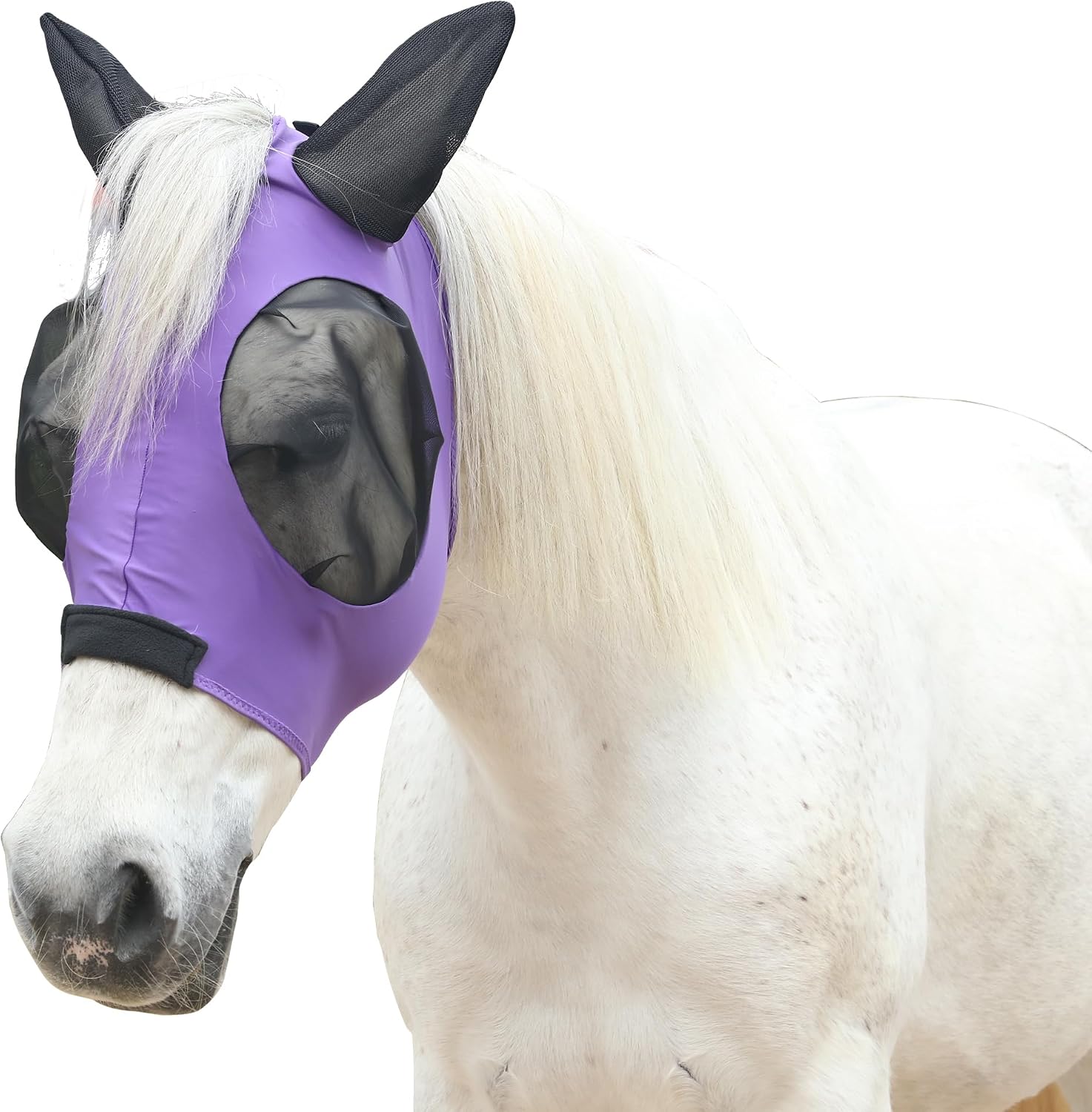 Detalle de Leberna Horse Fly Mask with Ears (Smooth, Elastic, UV Protection) – Purple, Full
