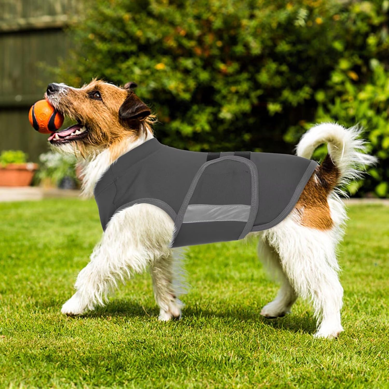 Detalle 1 de IECOii Beruhigungsshirt für Hunde XL