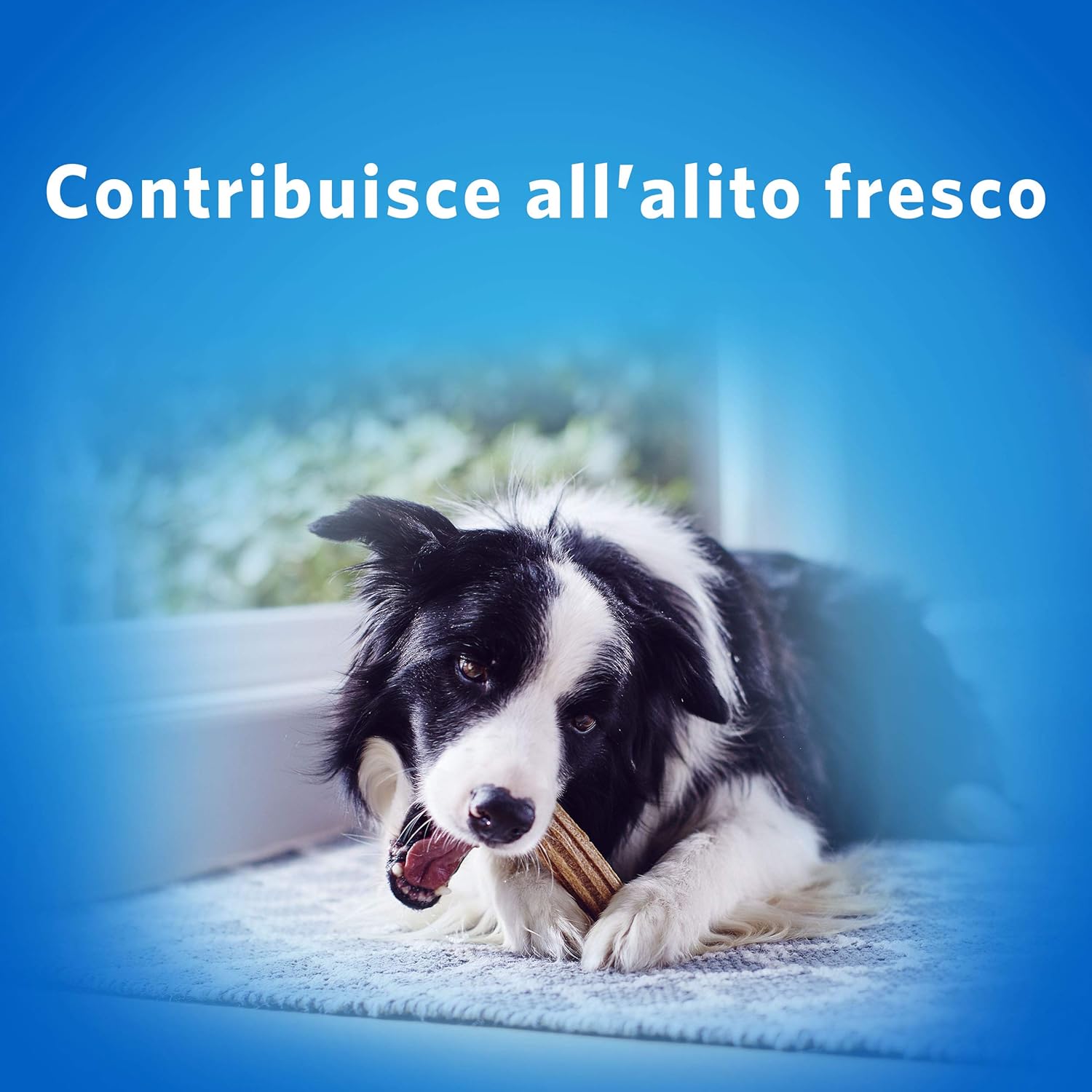 Thumbnail 6 de Purina DENTALIFE Snack igiene orale 72 sticks