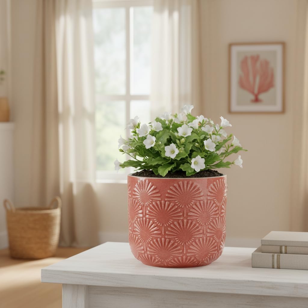 Detalle de Xiaan Jiaju Coral Blush Ceramic Planter with Fanburst Texture and Drainage Hole