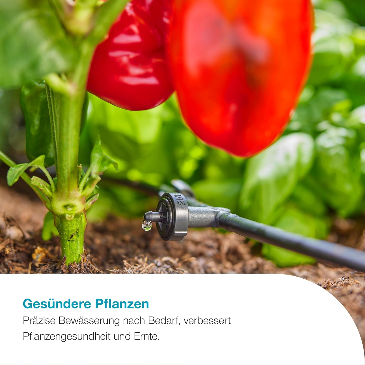 Detalle 2 de GARDENA AquaBloom L Set: autarkes Solarsystem zur Bewässerung von bis zu 30 Pflanzen