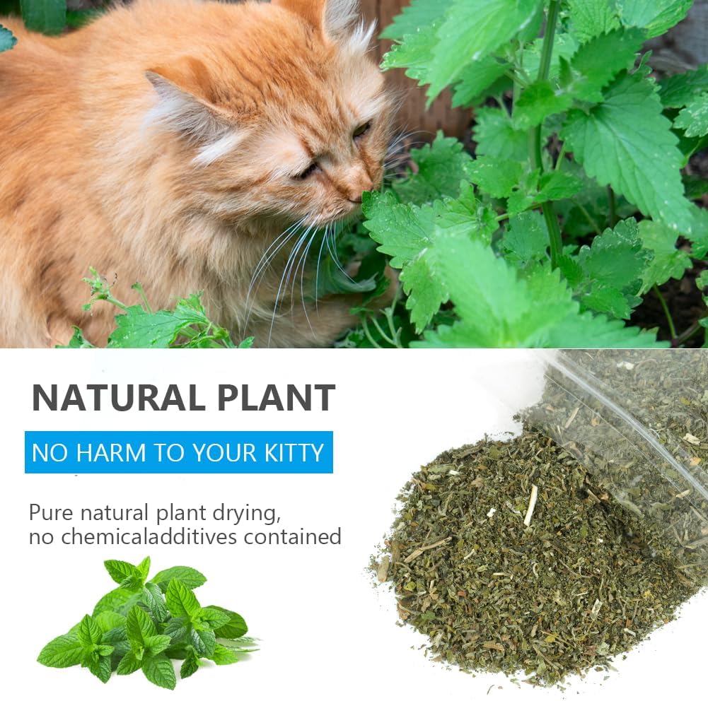 Detalle de OSDUE Katzenminze 100 g mit SĂ€ckchen đ±