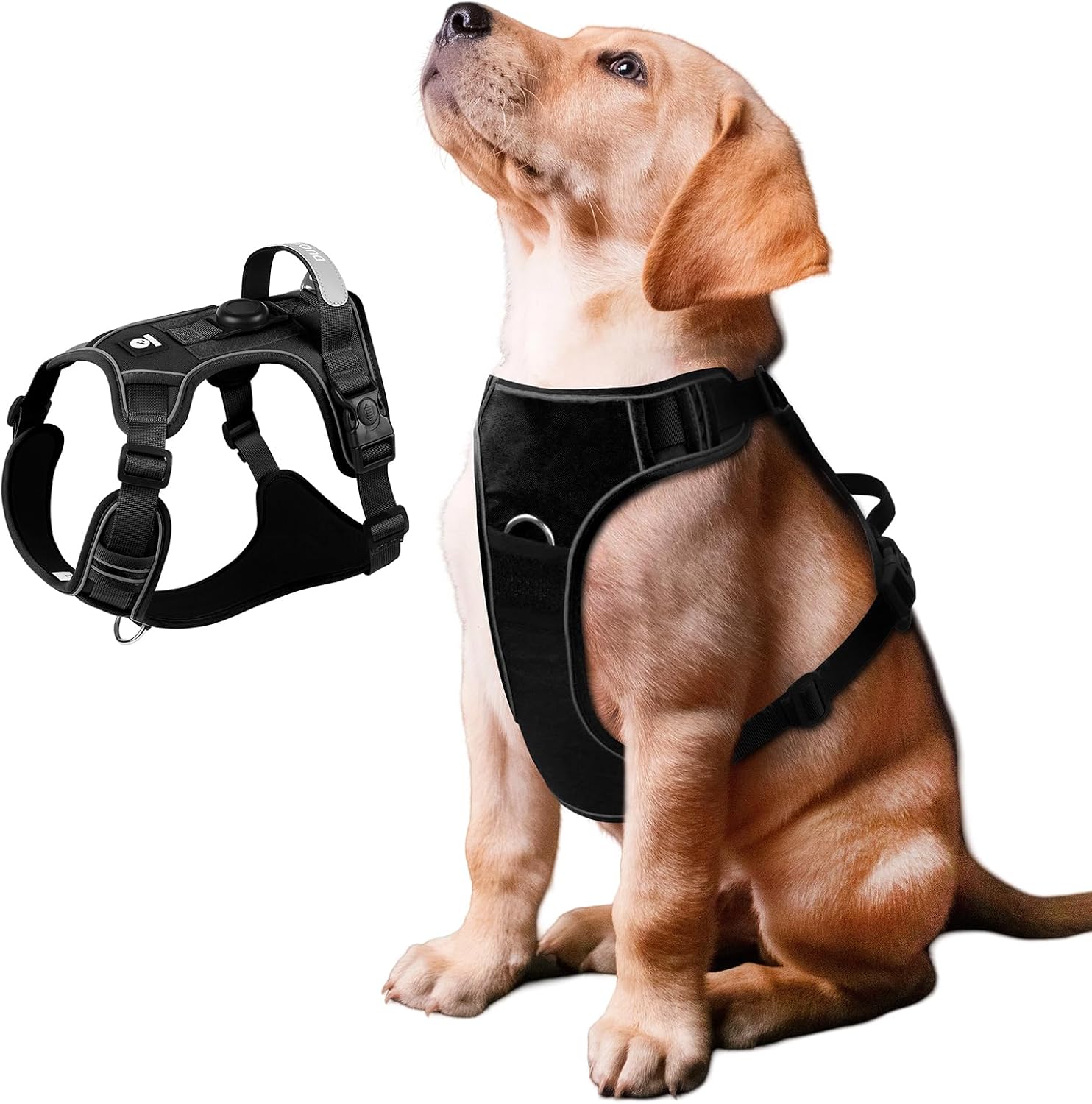 Detalle de Dog Harness, M