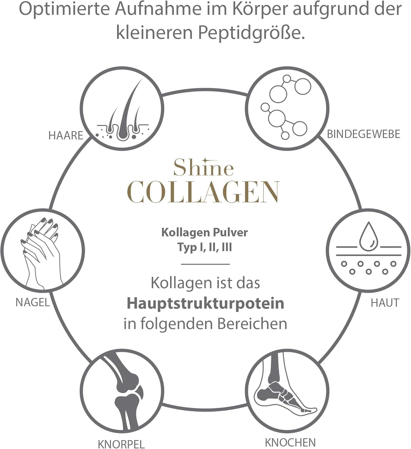 Thumbnail 4 de Shine Collagen Pulver 500 g – Kollagenpeptide Pulver 🍶