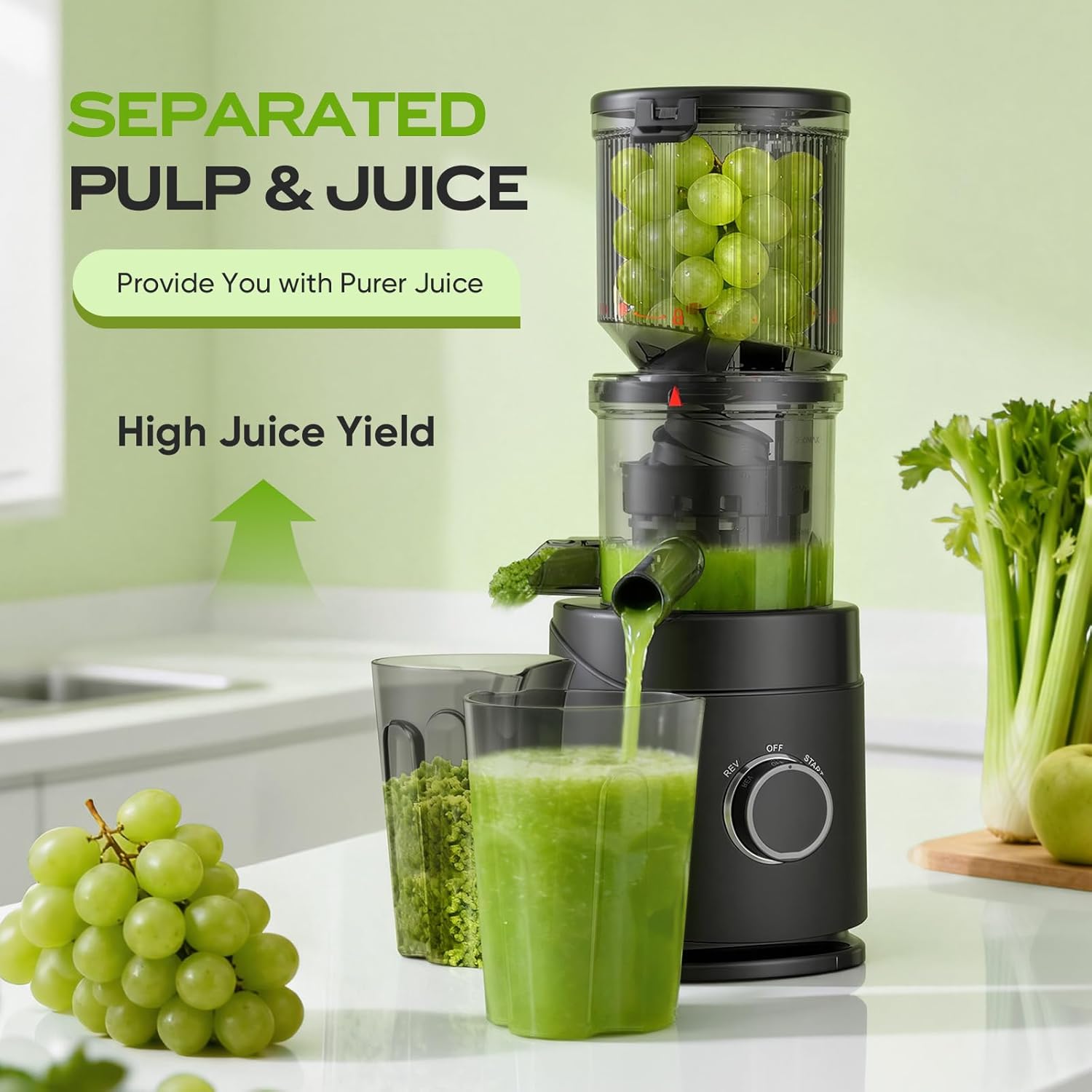 Detalle 2 de Cold Press Juicer 65 RPM 🧃