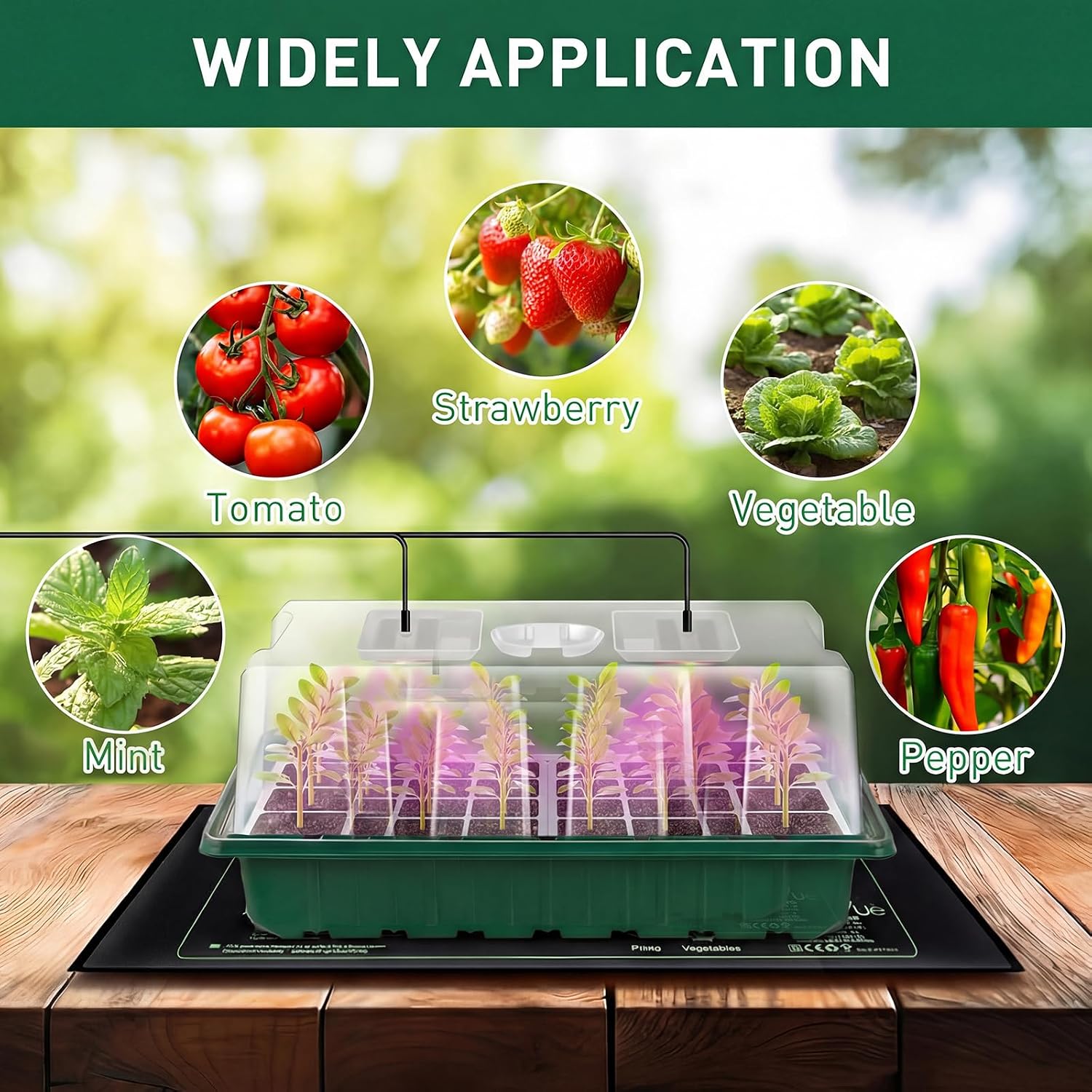 Detalle 2 de Verdenu Seed Tray with Grow Lights and Heating Mat (Pack of 3) – 36-cell seed starter trays with humidity dome
