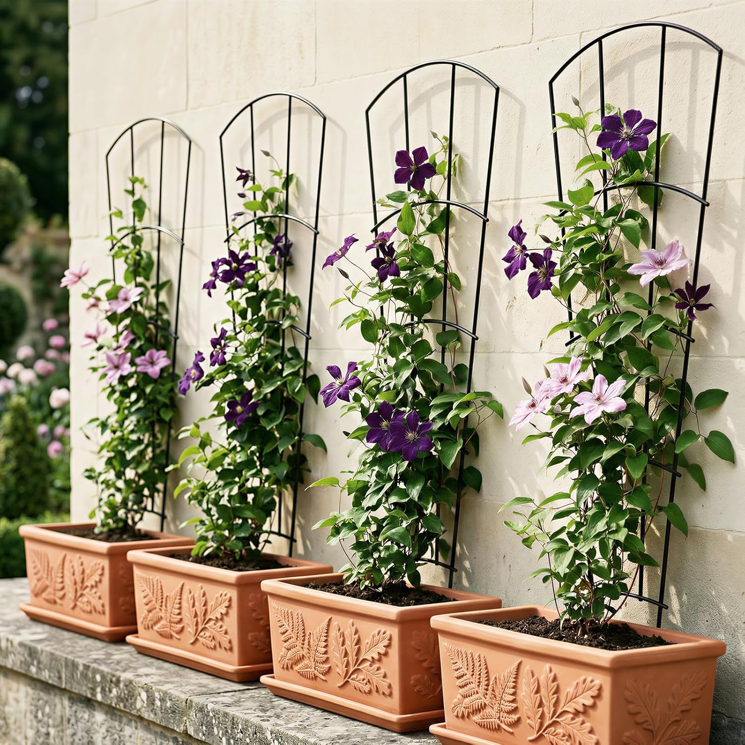 Thumbnail 3 de Thealyn 4 Pack 142cm Metal Plant Trellis – Fan-Shaped, Rustproof Support for Pots & Garden Beds