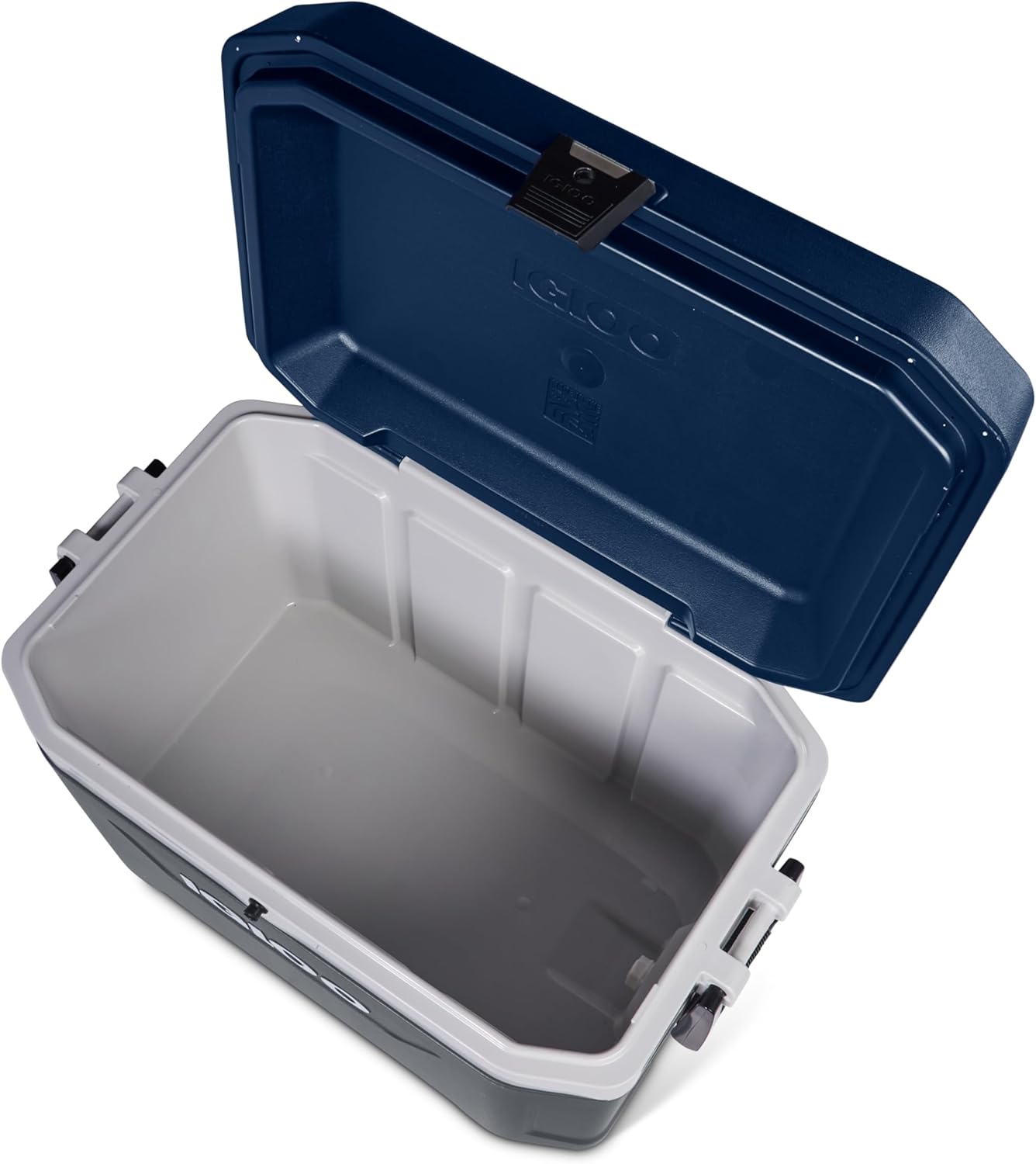 Thumbnail 4 de IGLOO Maxcold 54 Frigoriferi Portatili – 51 L, Grigio: affidabile compagno di viaggio