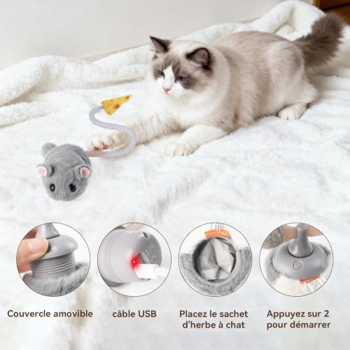 Thumbnail 5 de Migipaws Souris interactive rechargeable pour chat, capteur et herbe à chat