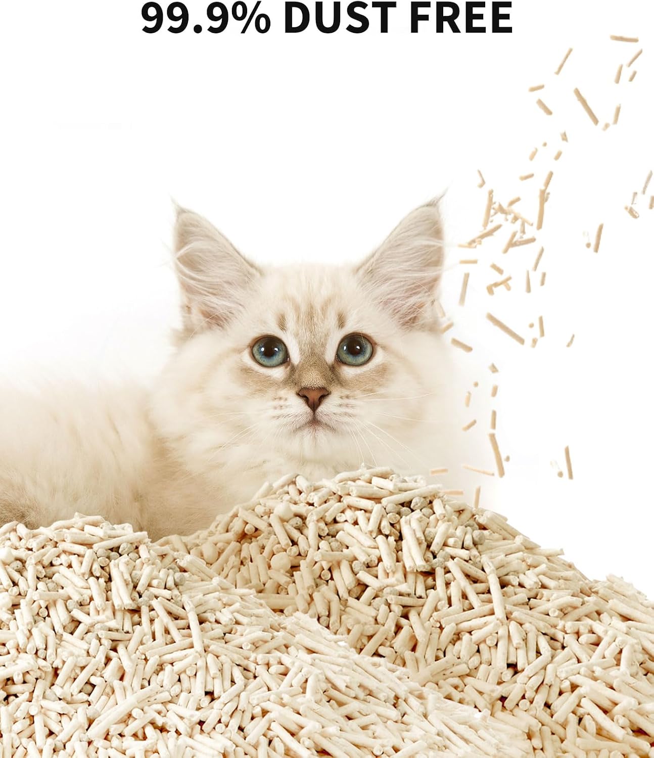 Detalle 2 de PETKIT Tofu Cat Litter: Fast Clumping, Health-Check Content, 2 Pack (4.8kg) — Practical Multi-Cat Litter