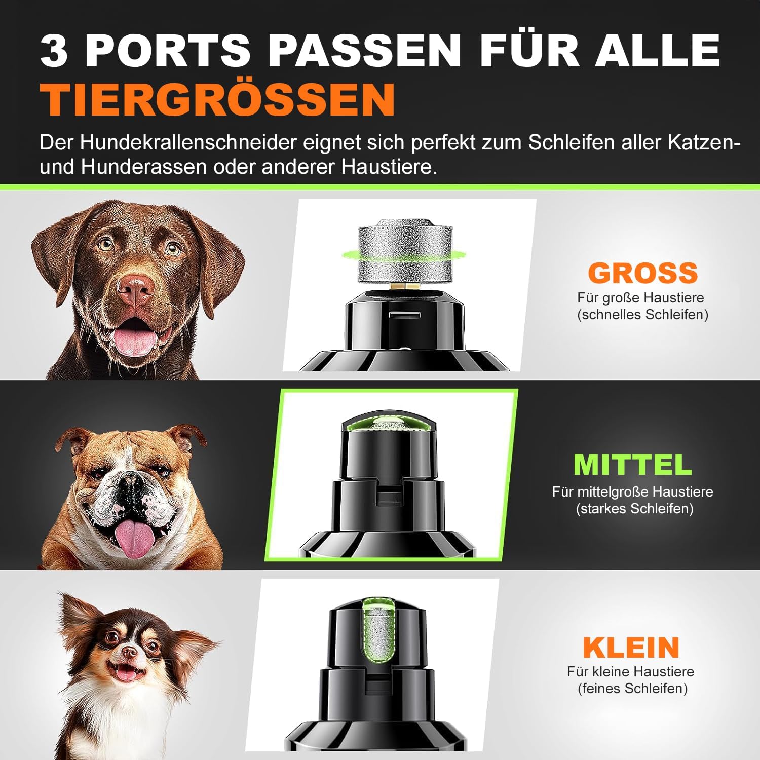 Detalle 2 de Wismika Krallenschleifer für Hunde – leise, mit 4 LED-Leuchten und 3 Geschwindigkeiten