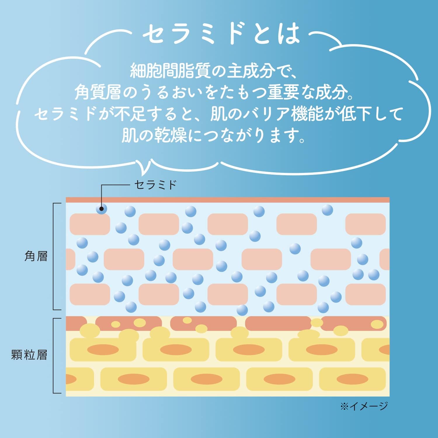 Detalle 2 de ソフティモ 洗顔フォーム セラミド 150g×2個セット|濃密泡・うるおい配慮