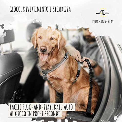 Detalle de Rudelkönig Cintura Sicurezza Cani Auto – Elastica e Regolabile