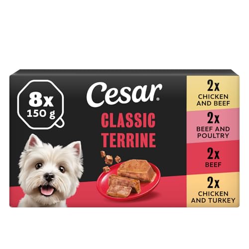 Detalle de CESAR ClassicTerrine Wet Dog Food – Mixed Selection in Jelly (8x150g) – Pack of 3