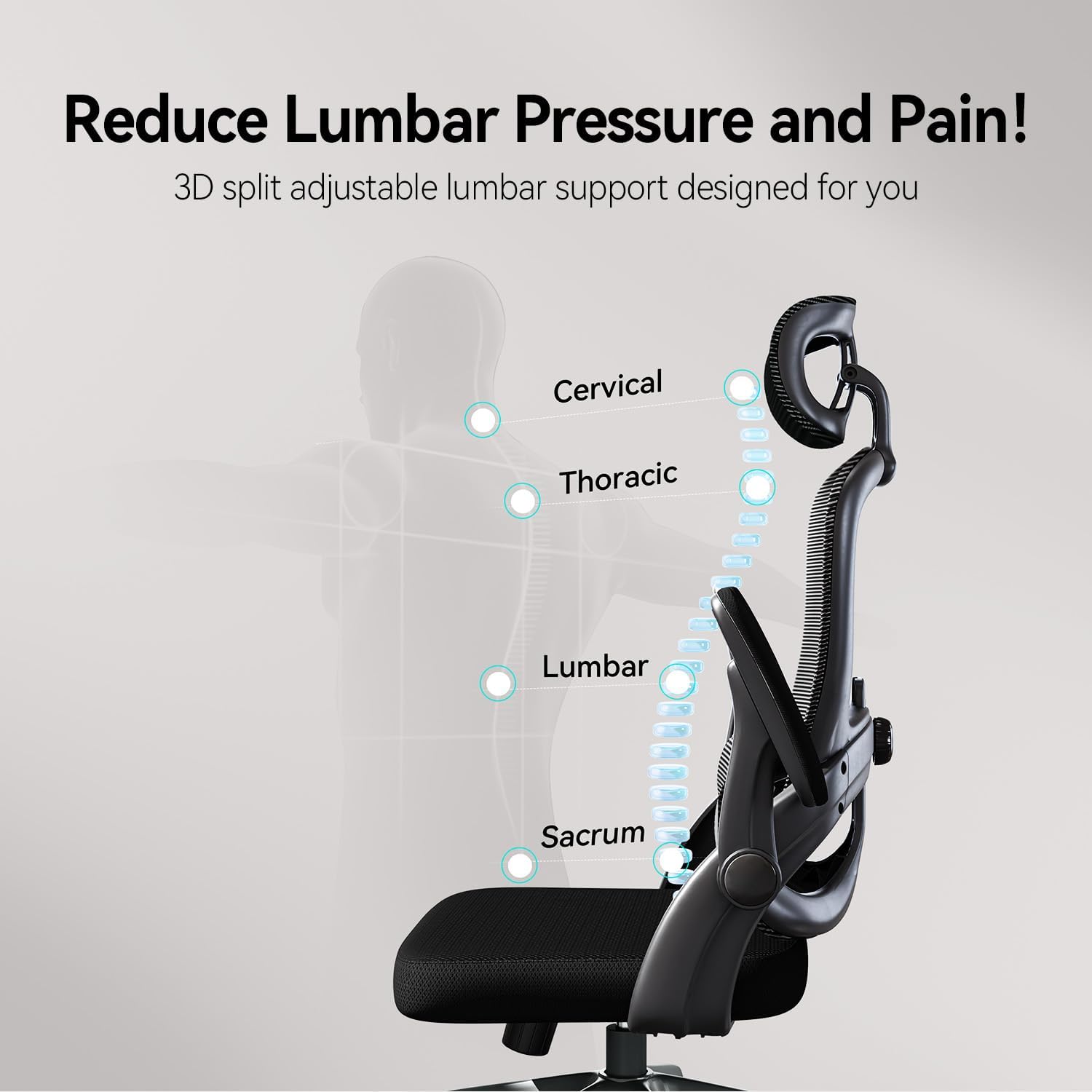 Thumbnail 5 de SIHOO M102C sedia ergonomica da ufficio con supporto lombare